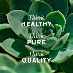 B vitamins chart and vegetarian-friendly formula image