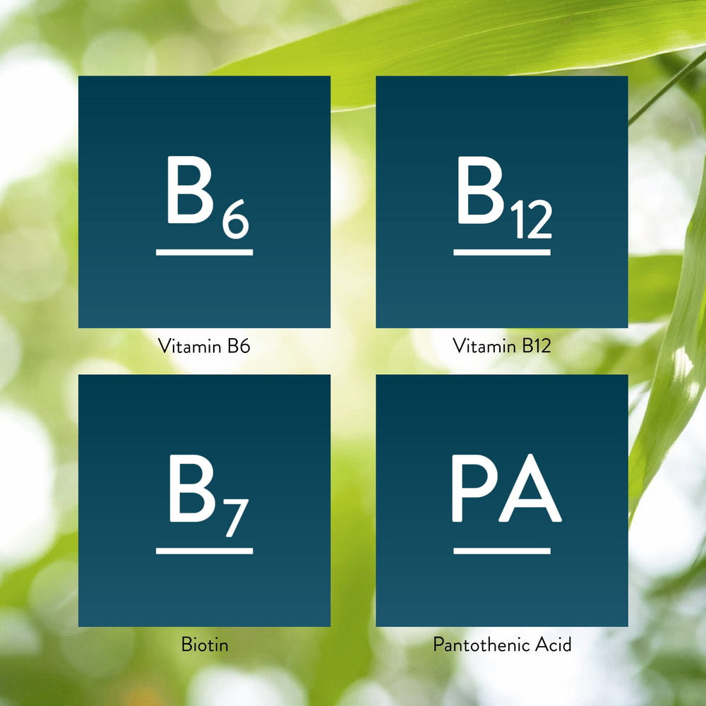 Digestive support visuals for Nature's Sunshine Balanced B Complex