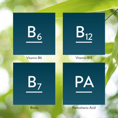Digestive support visuals for Nature's Sunshine Balanced B Complex