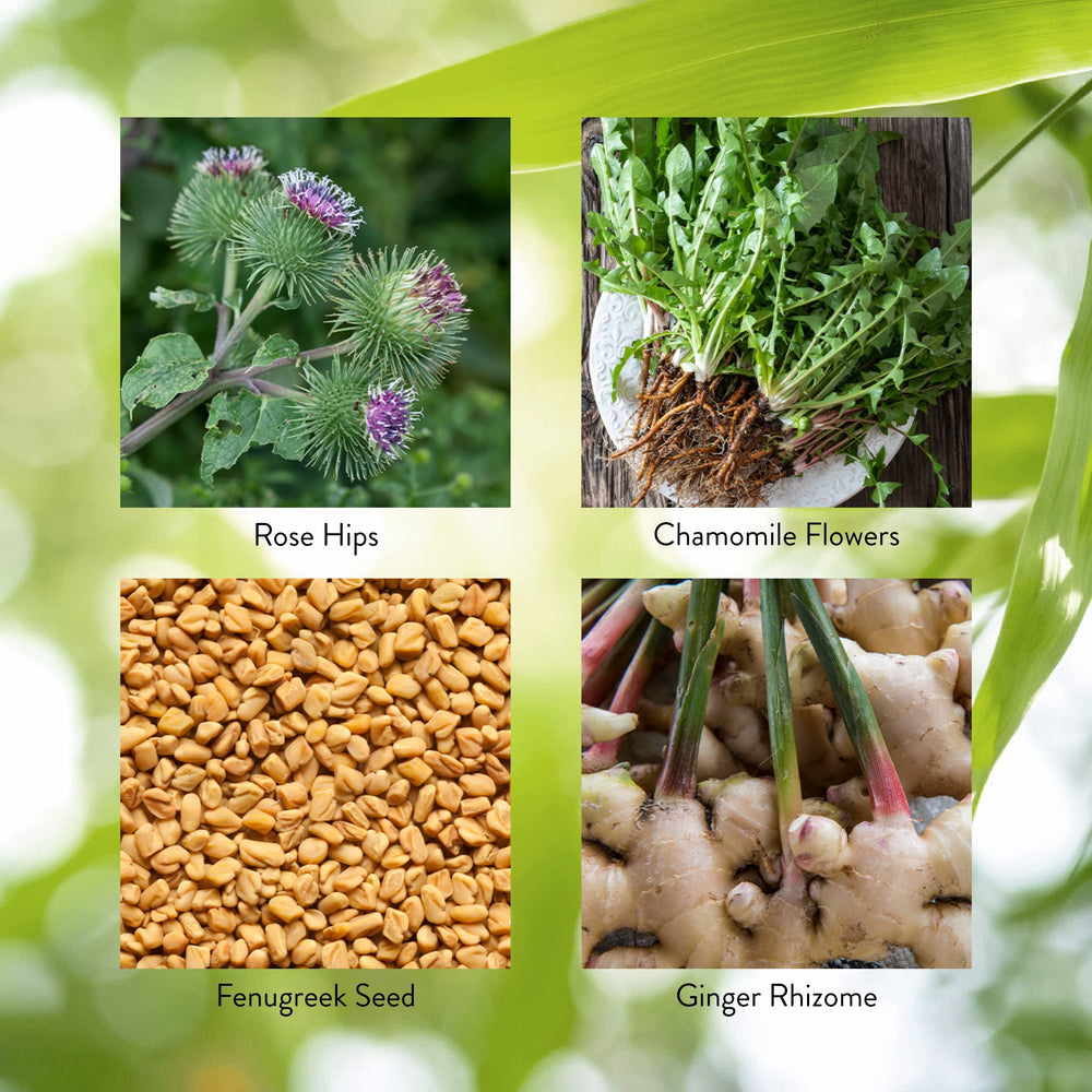 Nature's Sunshine Enviro-Detox label highlights supportive ingredients.