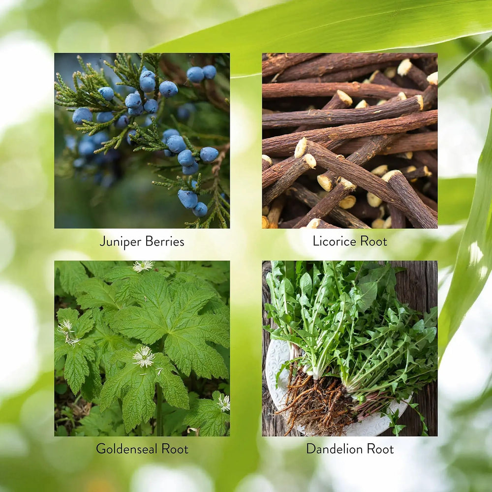 Ingredients list featuring juniper berries, slippery elm, licorice root and more