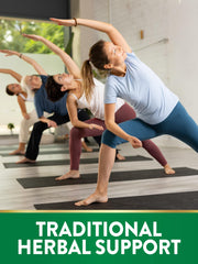 10:1 Echinacea extract visual for Nature's Truth capsules