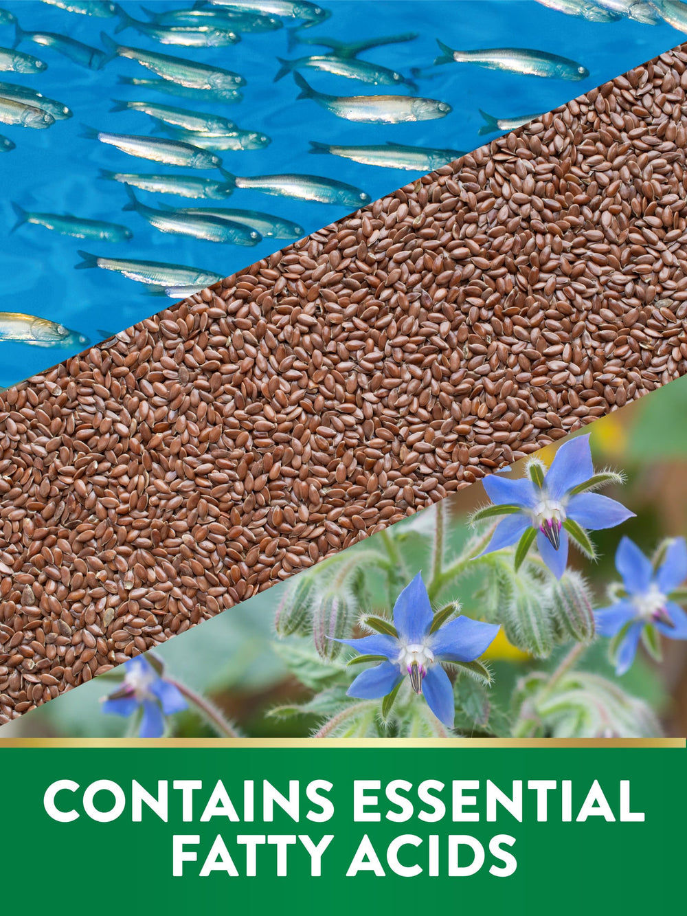 Visual of purified fish oil, flaxseed oil and borage oil ingredients