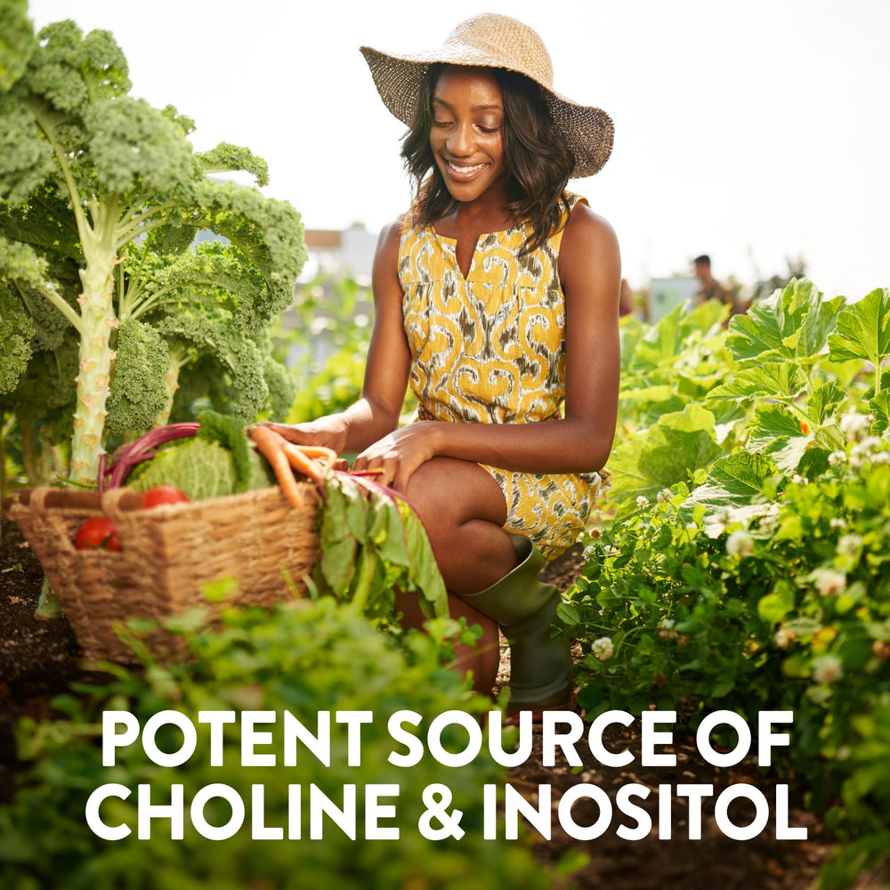 Non-GMO and Gluten-Free icons on product packaging