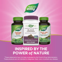 Non-GMO Project Verified black cohosh supplement bottle