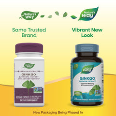 Ginkgo leaves used in nature and supplement