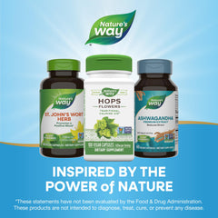 Vegan, gluten-free and dairy-free icons on Nature's Way label