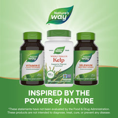 100-count Nature's Way Kelp bottle
