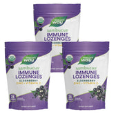 Front label of Nature’s Way Sambucus Immune Lozenges packaging