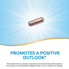 Wellness lifestyle image featuring Nature's Way St. John's Wort