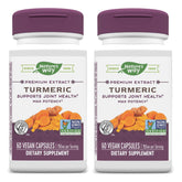 Nature's Way Turmeric Max Potency Premium Extract bottle on white background
