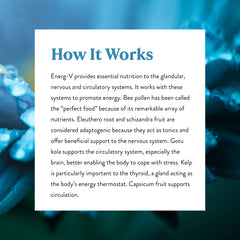 Front label of Nature's Sunshine Energ-V 100 capsules