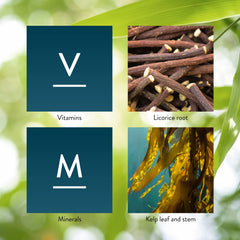 Vitamins and minerals icons representing essential nutrients