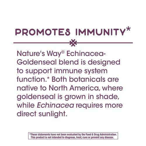 Side view of the Natures Way Echinacea Goldenseal Root bottle