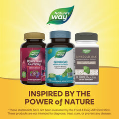 Close-up of Nature's Way Ginkgo capsules