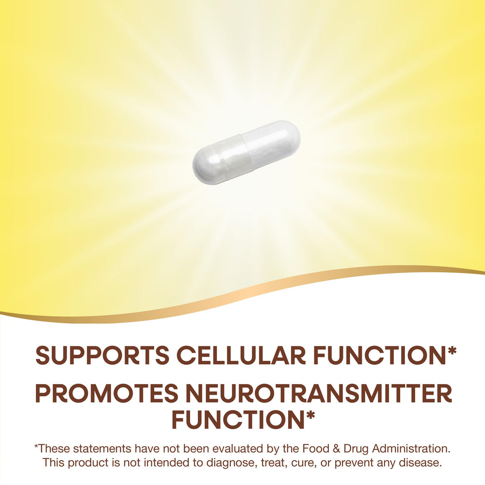 Graphic highlighting inositol supports neurotransmitter function