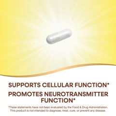 Graphic highlighting inositol supports neurotransmitter function