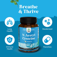 Natures Craft NAC kidney detox illustration signaling cleansing support