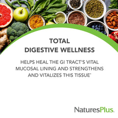 Cross-section view of bi-layered tablet design