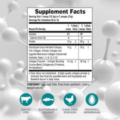 Collagen Peptides with six types of collagen: I, II, III, IV, V and X