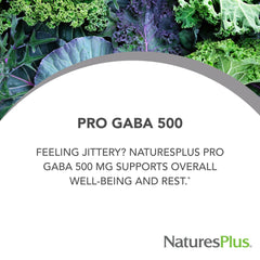NaturesPlus PRO GABA 500 mg bottle back view with supplement facts