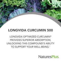 NaturesPlus PRO Longvida Curcumin 500 mg bottle with packaging – pack shot