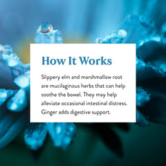 Wild yam for glandular support