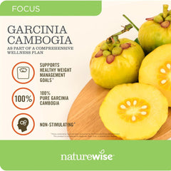 Dosing illustration for Garcinia Cambogia supplementation