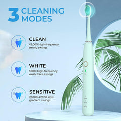Four replacement brush heads for NBGRLVS toothbrush in green