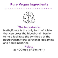 Supplement facts graphic for nbpure Methylfolate spray