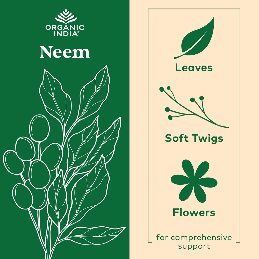 Neem leaf capsules supporting immune health