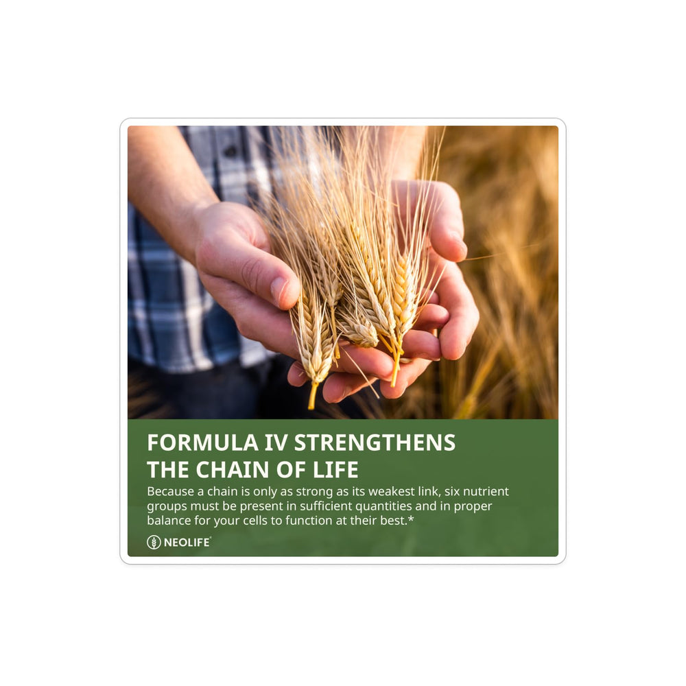 Graphic illustration of TRE-EN-EN Grain Blend in Formula IV Softgel