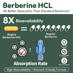 NEOGLI berberine-cinnamon bottle emphasizes synergistic metabolic support.