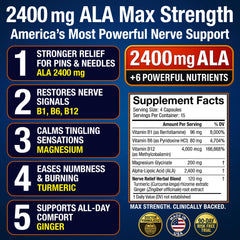 Magnesium, Turmeric and Ginger components illustration