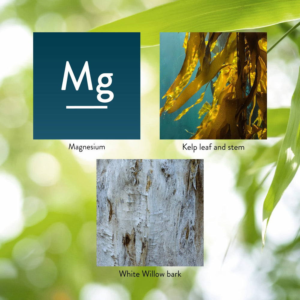 Label highlighting nervous system support and muscle relaxation