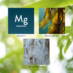 Label highlighting nervous system support and muscle relaxation