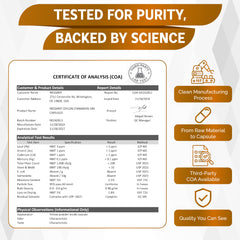Lifestyle image with meals and Nessarit as part of a wellness routine