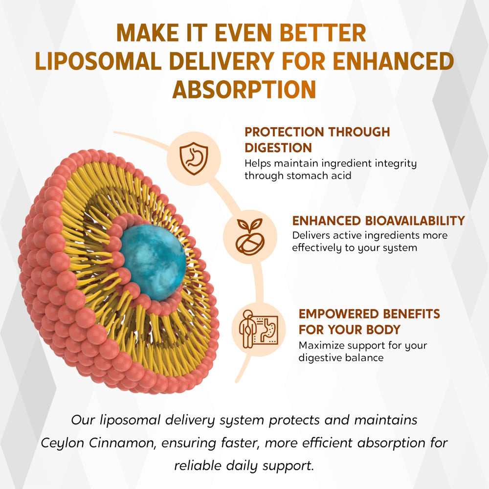 Digestive support imagery showing comfortable meals