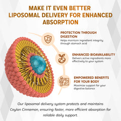 Digestive support imagery showing comfortable meals