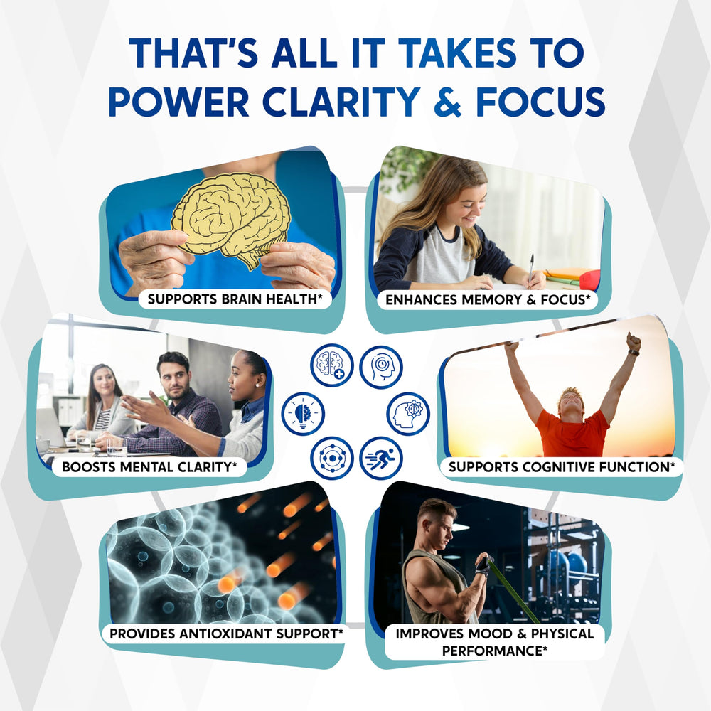 Ingredients list featuring Alpha-GPC, Bacopa Monnieri and Lion’s Mane