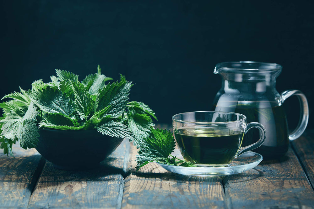 Swiss organic certification stamp for nettle tea
