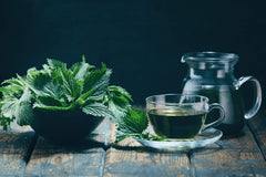 Swiss organic certification stamp for nettle tea