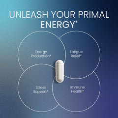 NEUMINA oyster extract capsules highlight male vitality and energy.
