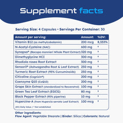 Turmeric root and CoQ10 imagery for antioxidant support