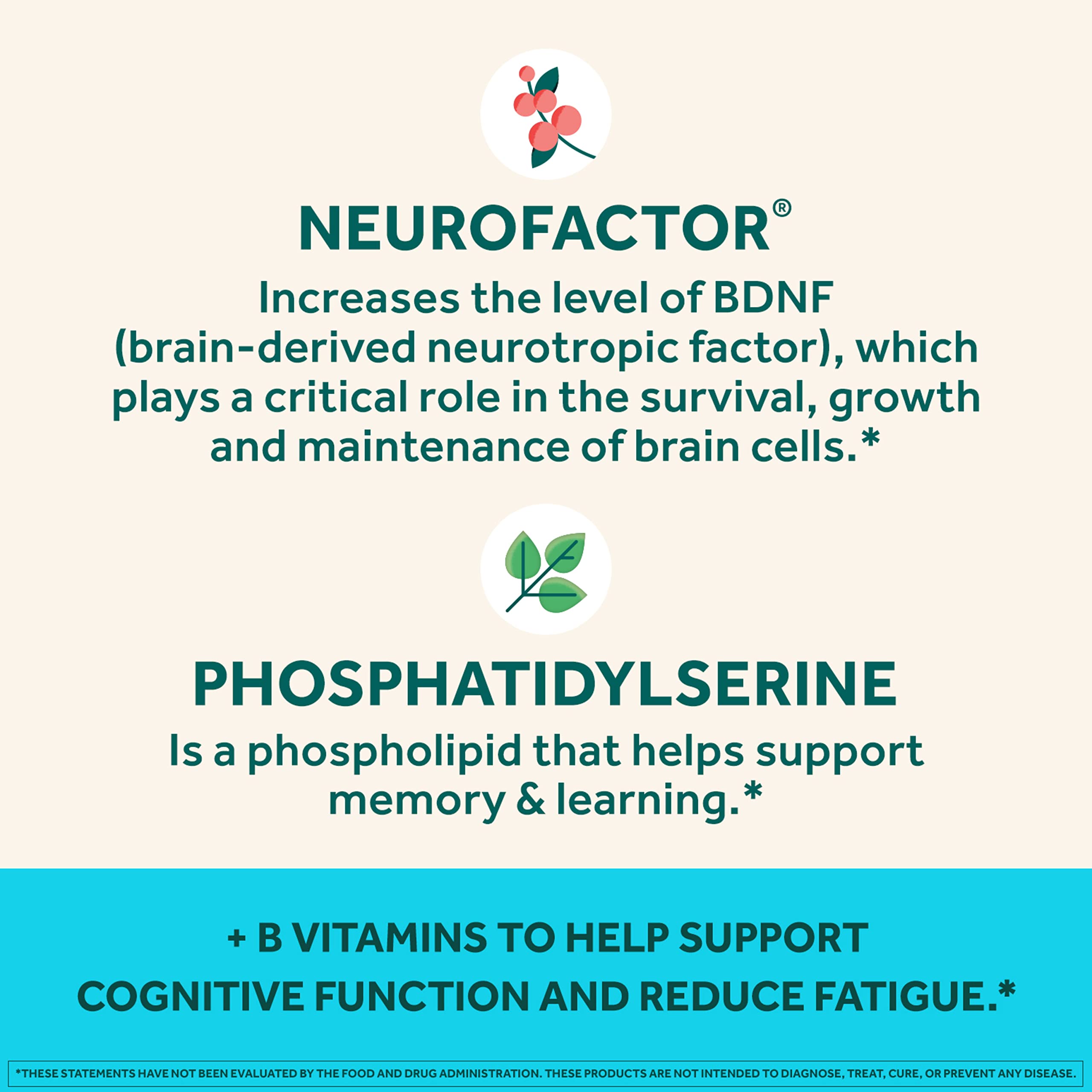 B6 and B12 vitamins benefits banner B6 and B12 vitamins benefits banner