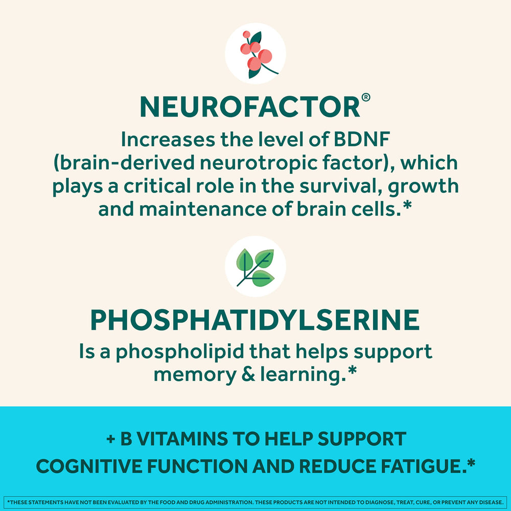 B6 and B12 vitamins benefits banner