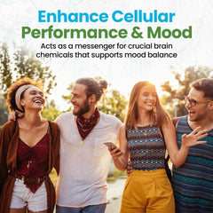 Ingredients list for Neuro Biologix D-Chiro Inositol 500mg