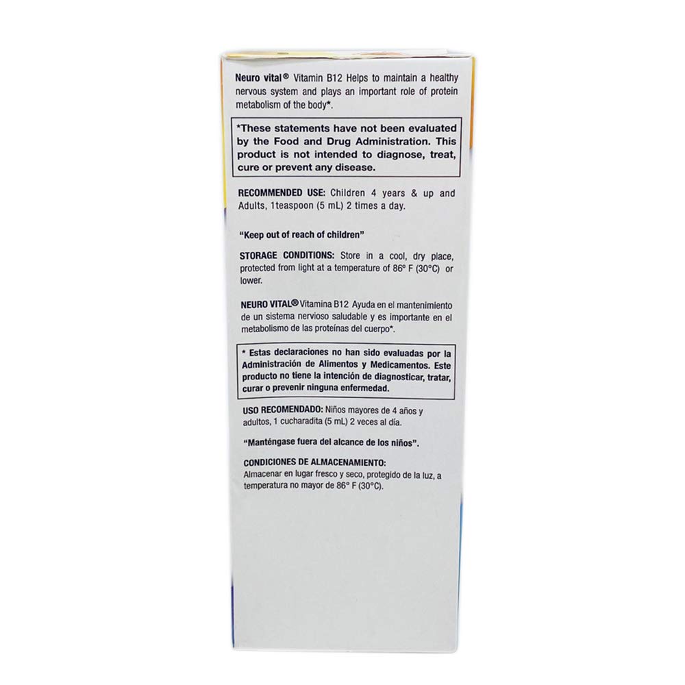 Illustration of nervous system and metabolism