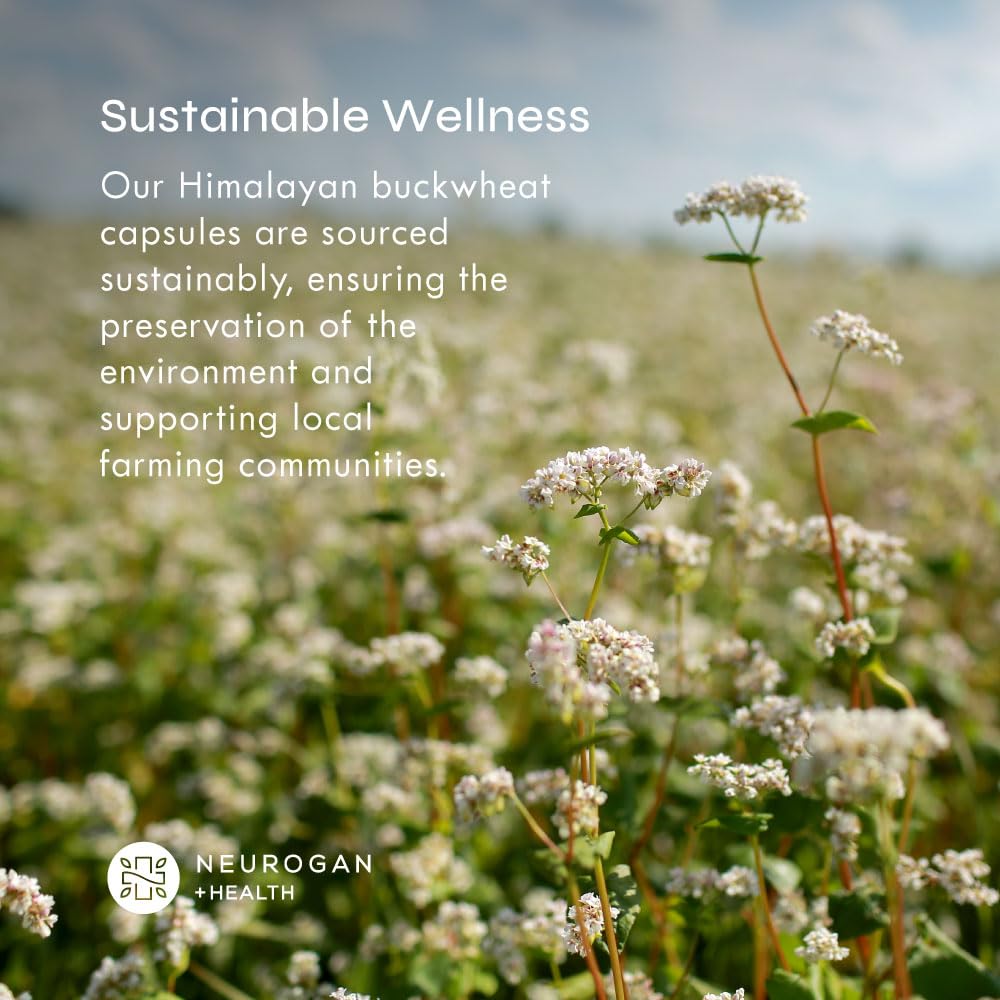 Made in USA lab-tested badge for Neurogan HTB capsules