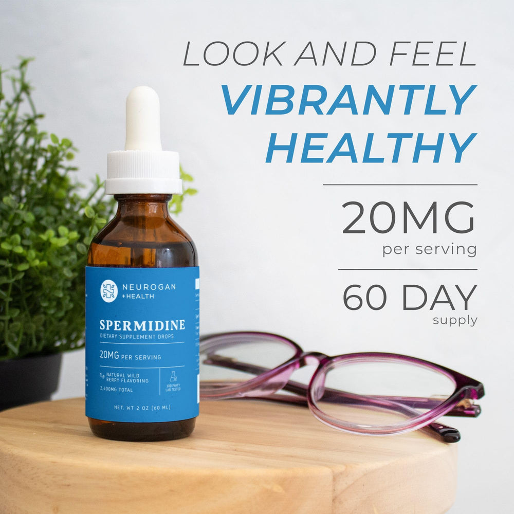 Spermidine supporting cellular health and renewal